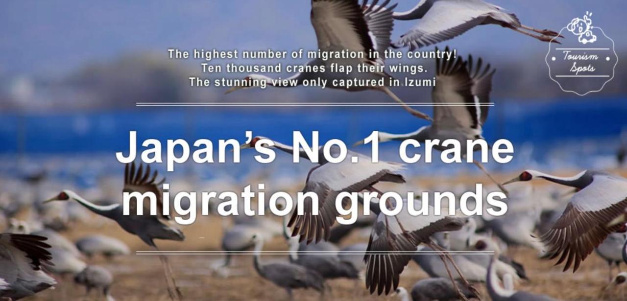 カモンイン 寿 Izumi  Εξωτερικό φωτογραφία